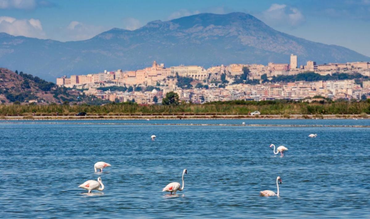 Sardegna Relax Apartment กวาร์ตู ซานเตเลนา ภายนอก รูปภาพ